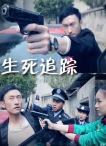 简繁英字幕